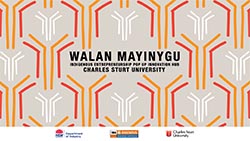 Walan Mayinygu logo Walan Mayinygu logo