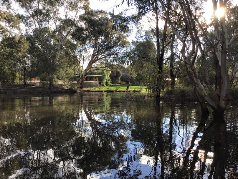 Professor Watson and Dr Watson's property in South Australia