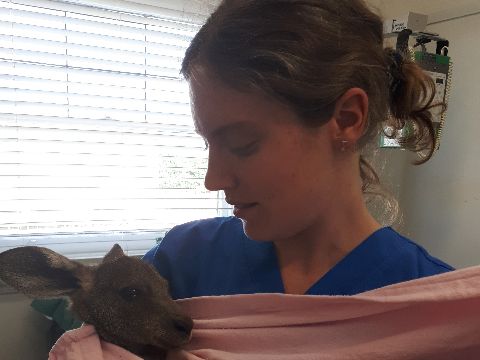 Caitlin nursing a joey